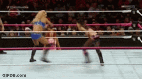 Two Women Wrestling In Ring With Crowd GIF