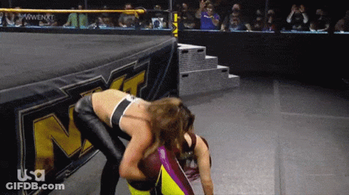 Two Women Wrestling In Ring With NXT Sign GIF