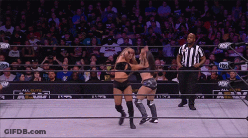 Two Women Wrestling In Ring With Referee And Crowd GIF