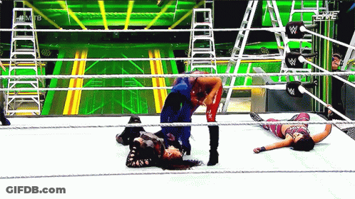 Two Women Wrestling In Ring With W Logo GIF
