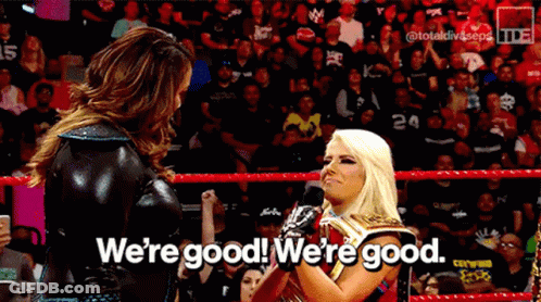 Two Women Wrestling Ring Saying We're Good GIF
