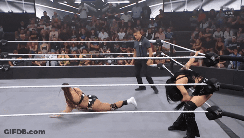 Two Women Wrestling With Referee GIF