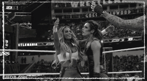 Two Women Wrestling With Wrestlemania Sign GIF