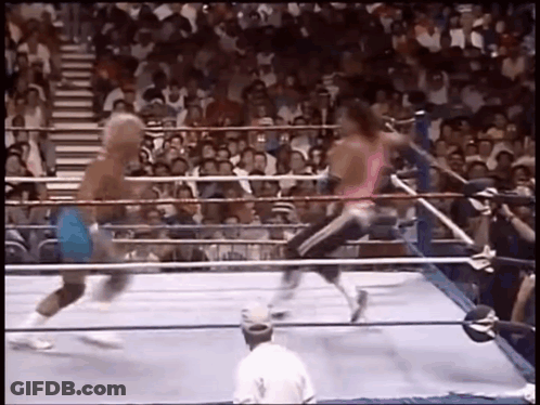 Two Wrestlers Are Fighting In A Boxing Ring While A Crowd Watches . GIF
