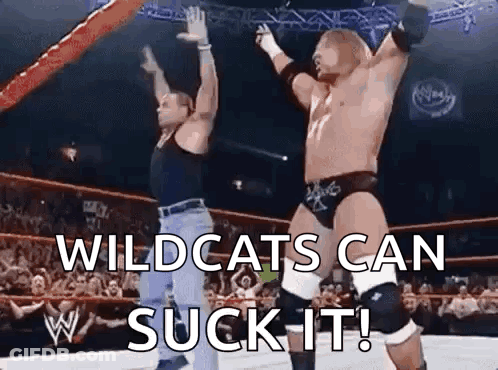 Two Wrestlers Are Standing In A Wrestling Ring With Their Arms In The Air And The Words Wildcats Can Suck It . GIF