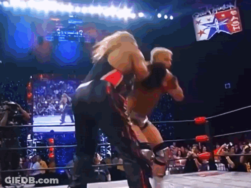 Two Wrestlers Fighting In Ring With Reebok Sign GIF
