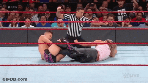 Two Wrestlers Fighting In Ring With Referee And Crowd GIF