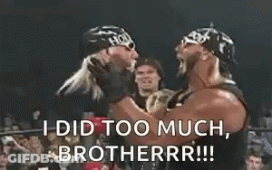 Two Wrestlers Fighting Saying I Did Too Much Brotherr GIF