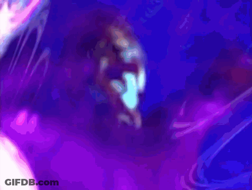 Two Wrestlers Holding Championship Belts With Next Thing GIF