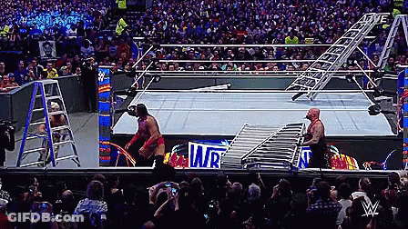 Two Wrestlers In A Ring With Sign Saying WR GIF