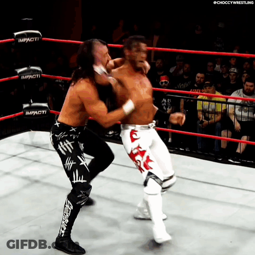 Two Wrestlers In A Ring With The Word Impact On The Ring GIF