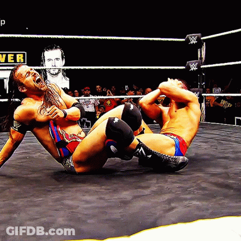 Wrestlers In Ring With Power Sign GIF