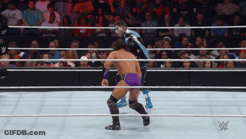 Two Wrestlers In A Wrestling Ring With A W Logo On The Side GIF