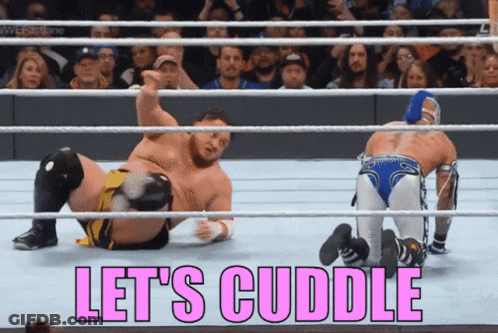 Two Wrestlers In A Wrestling Ring With The Words Let 'S Cuddle On The Bottom GIF