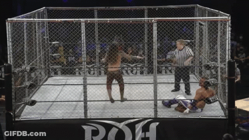 Two Wrestlers In Cage With Poh Sign GIF