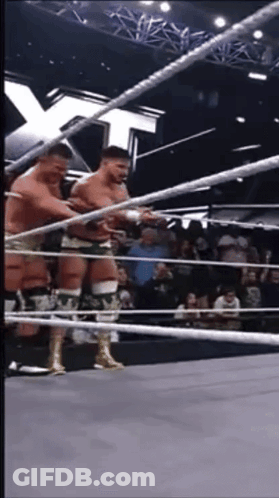 Two Wrestlers In Ring GIF