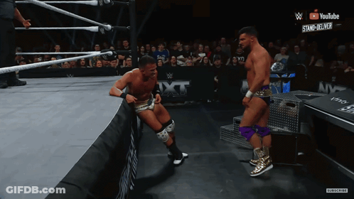 Two Wrestlers In Ring GIF