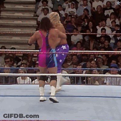 Two Wrestlers In Ring GIF