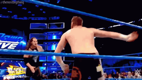 Two Wrestlers In Ring Thenextbigthing GIF
