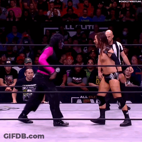 Two Wrestlers In Ring With All Elite Wrestling Sign GIF
