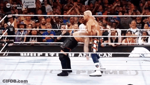 Two Wrestlers In Ring With American Nation Sign GIF