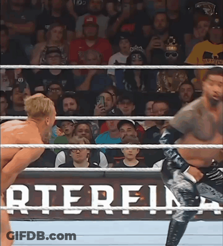 Two Wrestlers In Ring With Arterfin Banner GIF