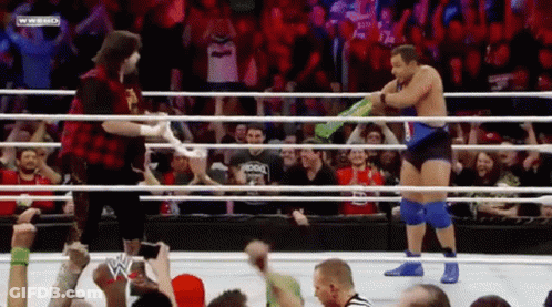 Two Wrestlers In Ring With Crowd And Wwehd Sign GIF