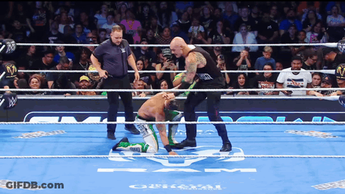 Two Wrestlers In Ring With Crowd Watching GIF