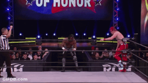 Two Wrestlers In Ring With Honor Sign GIF