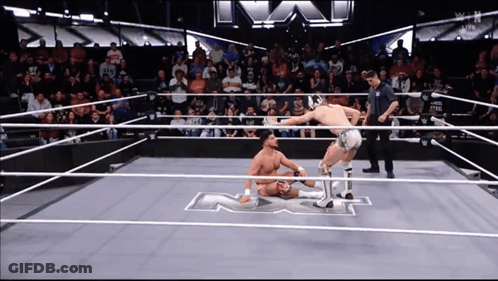 Two Wrestlers In Ring With Letter N GIF