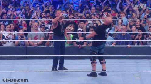 Two Wrestlers In Ring With Live Sign And Crowd GIF