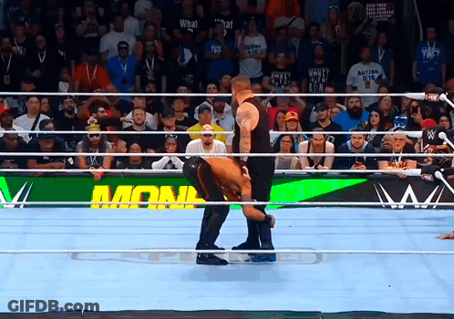 Two Wrestlers In Ring With Monk Sign GIF