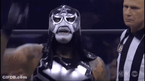 Two Wrestlers In Ring With Netflix GIF