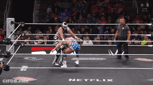 Two Wrestlers In Ring With Netflix GIF