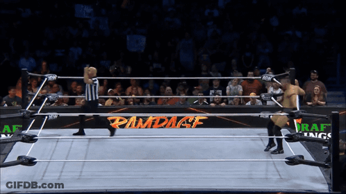 Two Wrestlers In Ring With Rampage Sign GIF