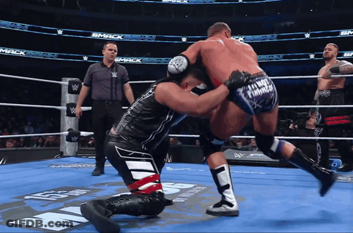 Two Wrestlers In Ring With Smack On Wall GIF