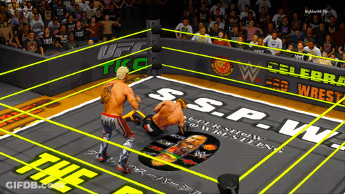Two Wrestlers In Ring With SSPW On Floor GIF