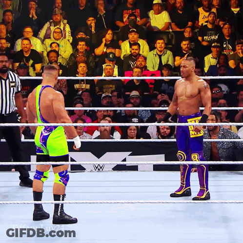 Two Wrestlers In Ring With Tiffanyluv24 GIF