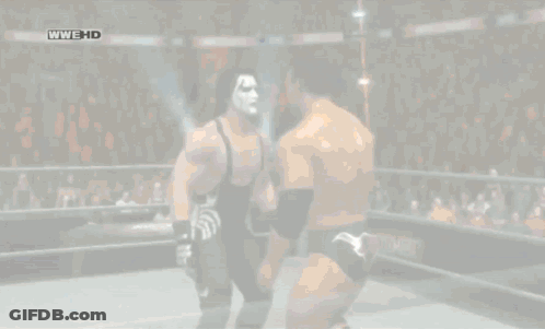 Two Wrestlers In Ring With WWE HD GIF