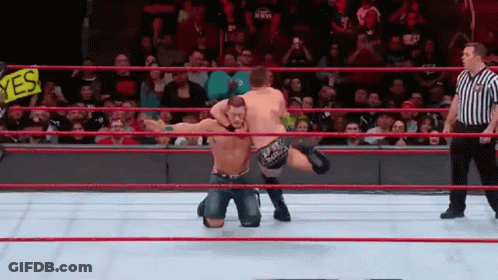 Two Wrestlers In Ring With Yes Sign GIF