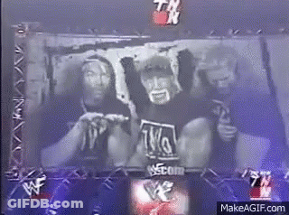 Two Wrestlers Standing In Ring GIF