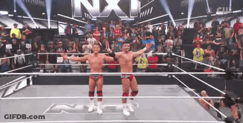 Two Wrestlers Standing In Ring GIF