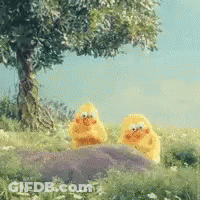 Two Yellow Chickens In Field GIF