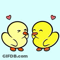 Two Yellow Ducklings Kissing With Hearts GIF