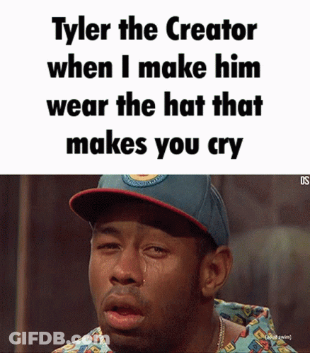 Tyler The Creator Hat That Makes You Cry GIF