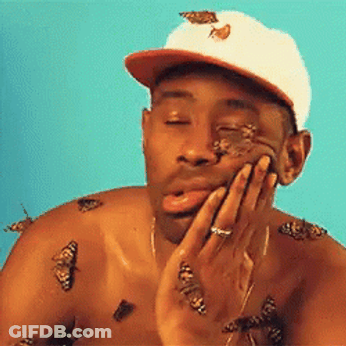 Tyler The Creator Moths Butterflies Photoshoot GIF
