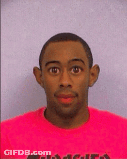 Tyler The Creator Mug Shot Squish Photo GIF