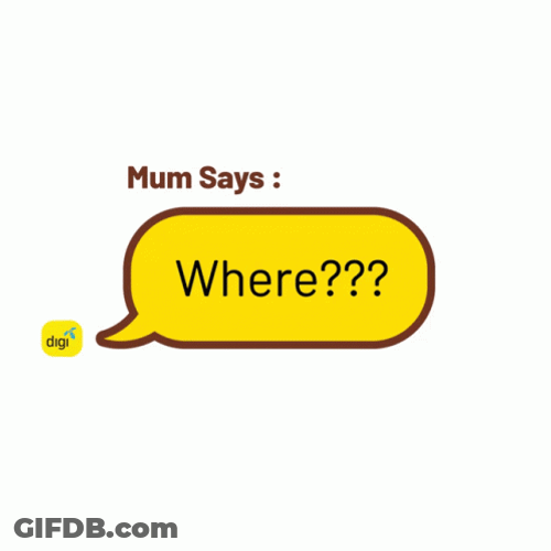 Typical Mom Questions Text Message Sticker GIF