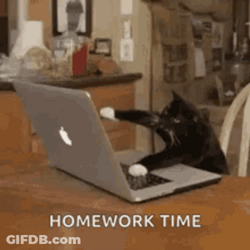 Typing Cat Homework Time GIF