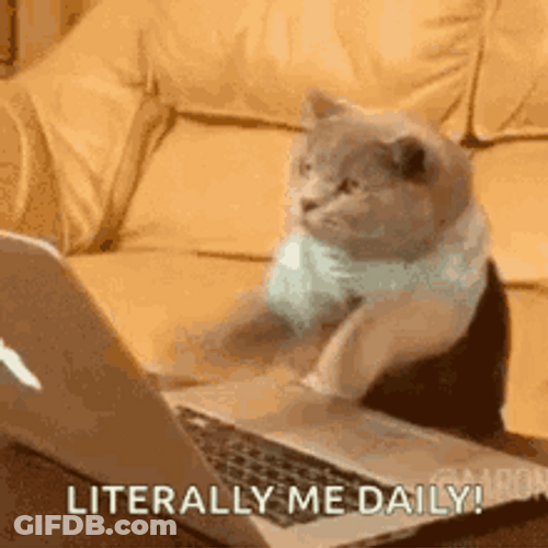 Typing Cat Literally Me Daily GIF
